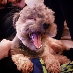 Meet your Posher, Katelyn